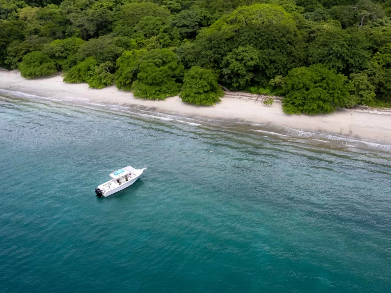 Noleggio Barca a motore grady-white con patente nautica