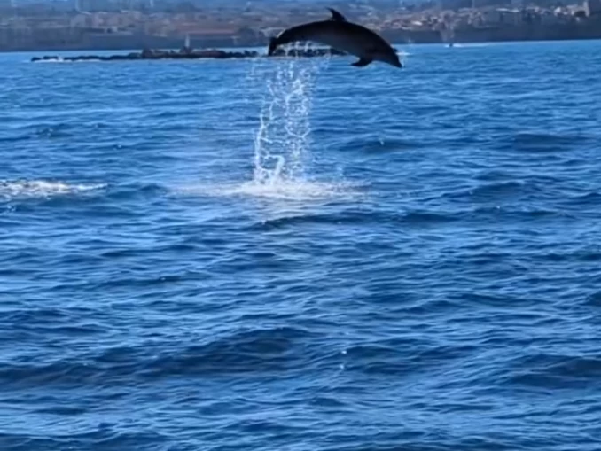 Noleggio Barca a motore Navan con patente nautica