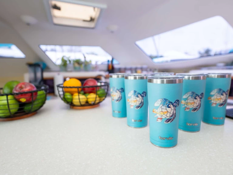 Noleggio a Isole Vergini Britanniche – Voyage TURQUOISE TURTLE su SamBoat