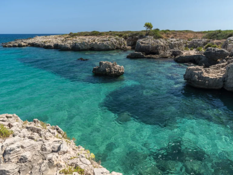 Noleggio Barca a motore Megamar con patente nautica