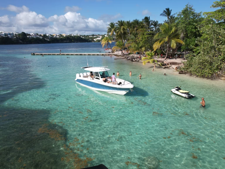 Noleggio a Pointe-à-Pitre – Boston Whaler Boston Whaler 380 Outrage su SamBoat