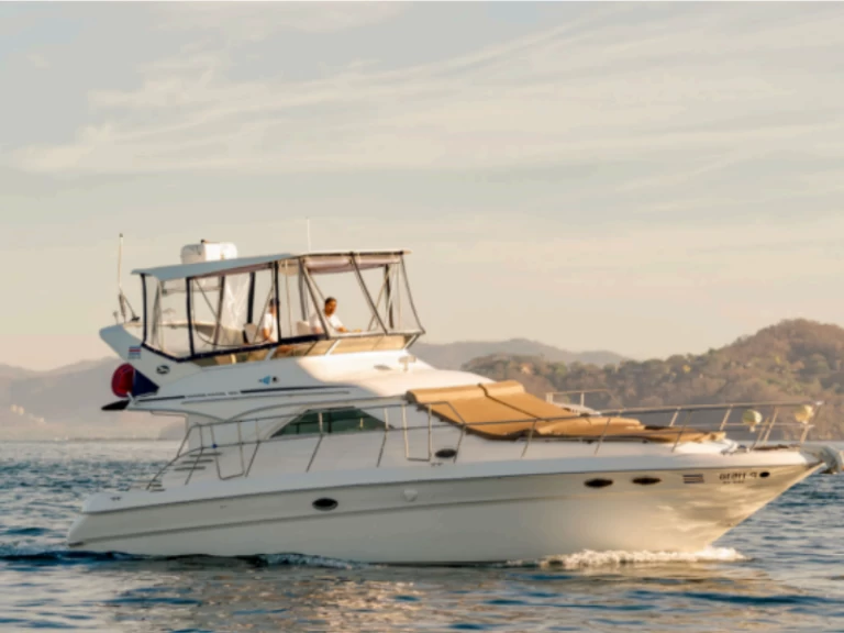 Noleggio a mondo – Sea Ray Sea Ray 400 Sedan Bridge su SamBoat