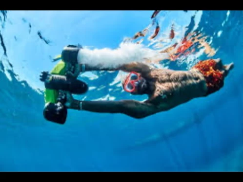 Noleggio barche Sanary-sur-Mer economico 3D Tender 535