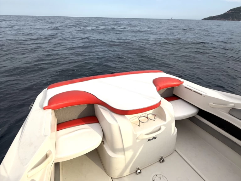 Noleggio a Mandelieu-la-Napoule – Sea Ray Sea Ray 205 Sport su SamBoat