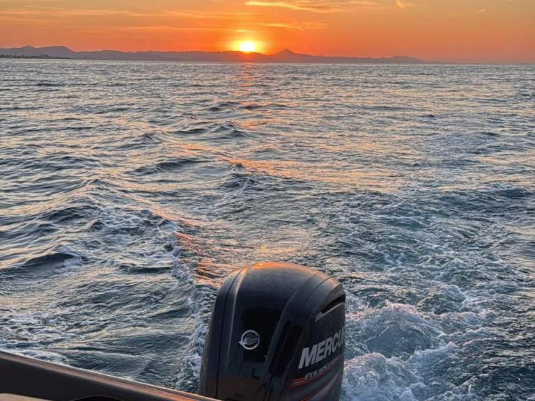 Noleggio barche Quicksilver Activ 605 Sundeck a Dénia su Samboat