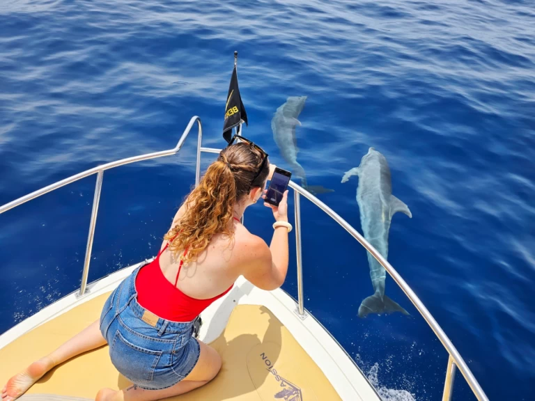Barca a motore a noleggio a Guía de Isora al miglior prezzo