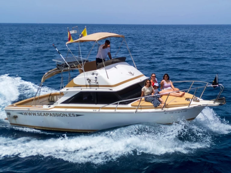 Noleggio Barca a motore a Guía de Isora – Bertram Bertram 28 flybrigde