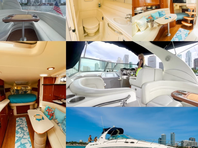 Sea Ray Sundancer 37 da affittare a  Miami