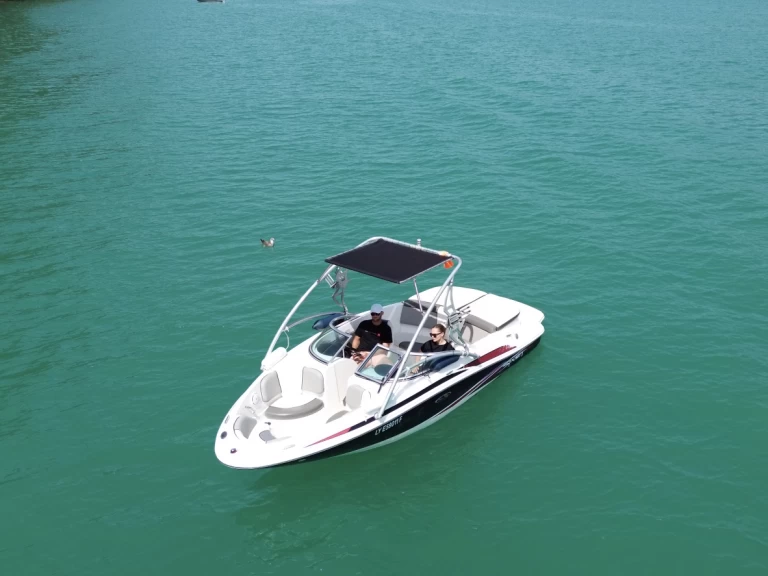 Sea Ray Sea Ray 185 Sport da affittare a  Aix-les-Bains