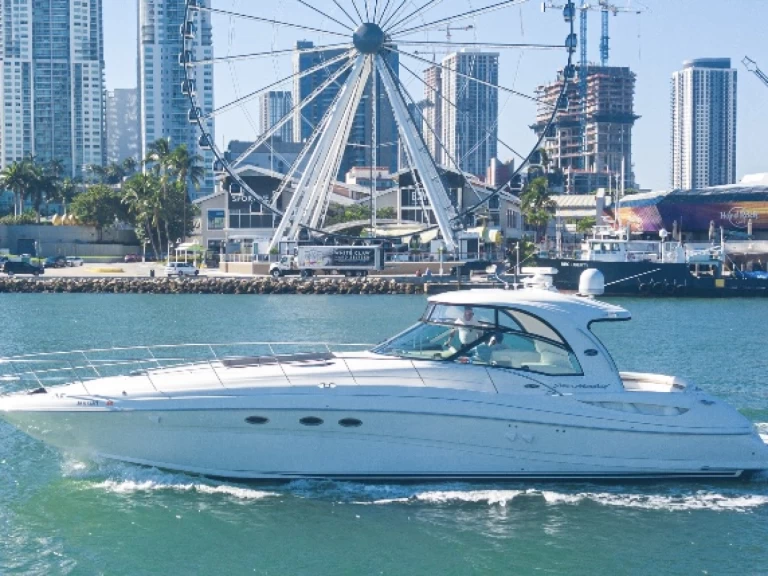 Sea Ray Sea Ray 54 da affittare a  Miami Beach