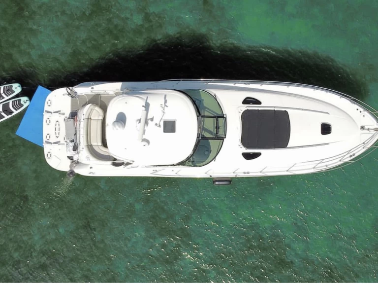 Noleggio barche Miami Beach economico Sea Ray 54
