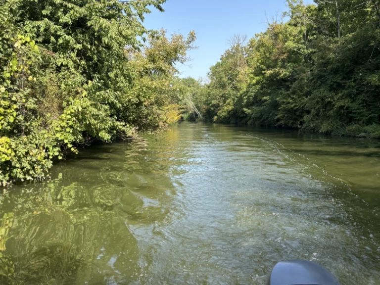 Noleggio Barca a motore Jeanneau con patente nautica