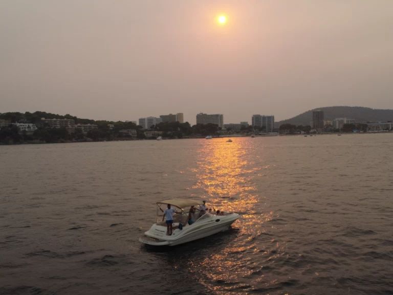 Noleggiare una Sea Ray Sea Ray 240 Sundeck a Palma de Maiorca