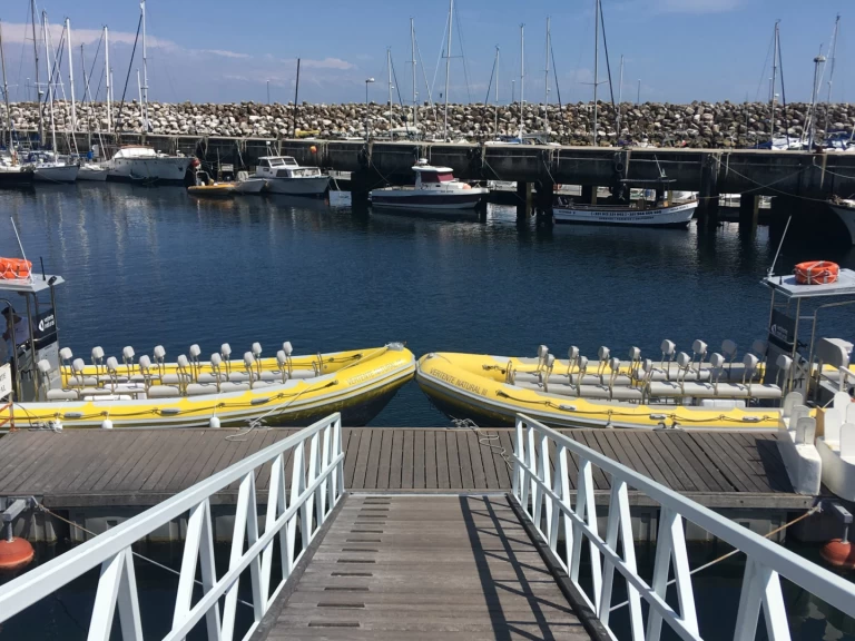 Vanguard TX 860 da affittare a  Sesimbra