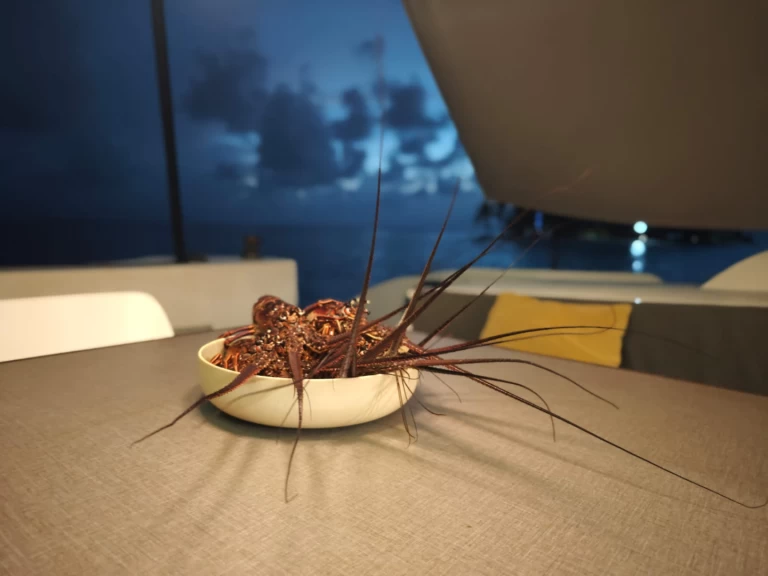 Noleggio Catamarano Oyacht con patente nautica