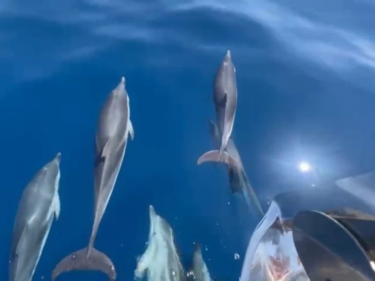 Noleggio Yacht di lusso a Saint-Tropez – Jeanneau Merry Fisher 1095