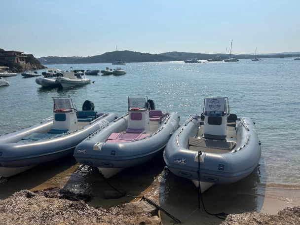 Noleggio Gommone Bwa con patente nautica