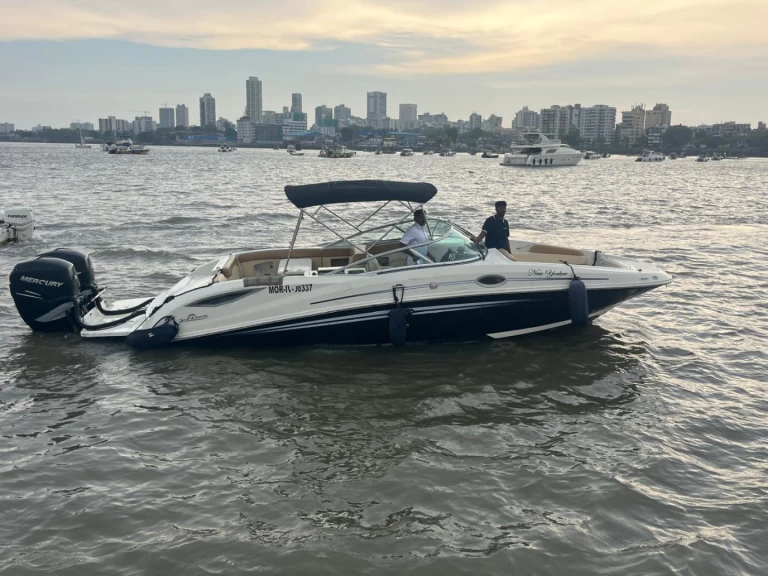 Sea Ray Sea Ray SDX 290 da affittare a  Mumbai