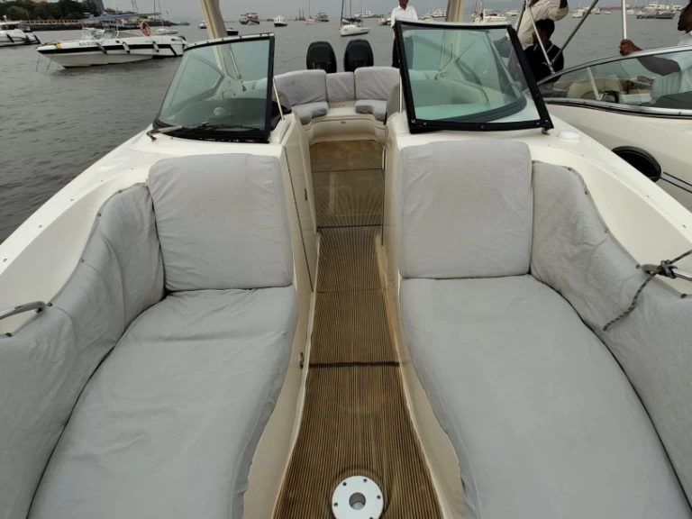 Sea Ray Sea Ray SLX 300 da affittare a  Mumbai