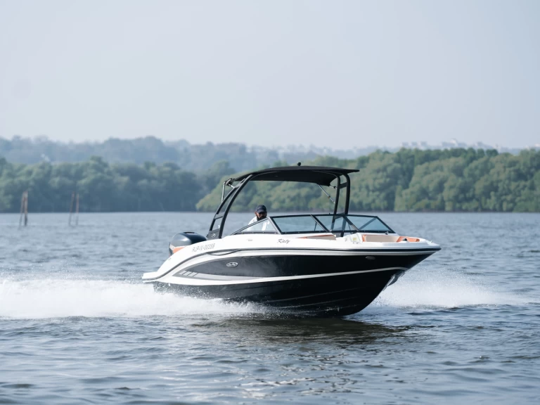 Sea Ray Sea Ray SPX 210 da affittare a  Panaji