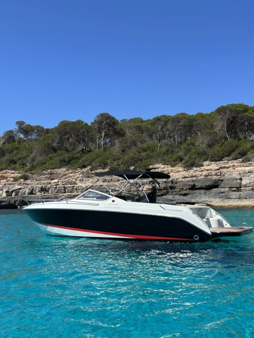 Noleggio Barca a motore a Cala d'Or – Wellcraft OPEN
