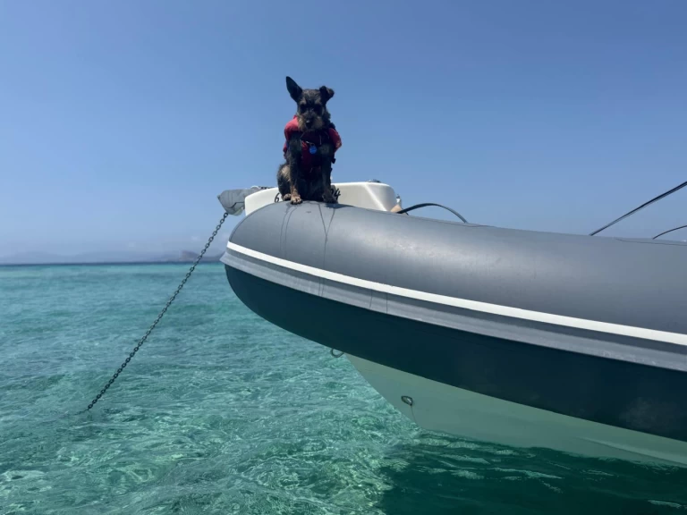 Bwa 24 Sporty RIB da affittare a  Ibiza Town