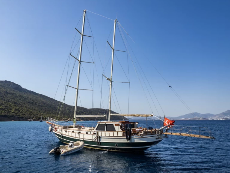 Noleggio Barca a vela Custom Made con patente nautica