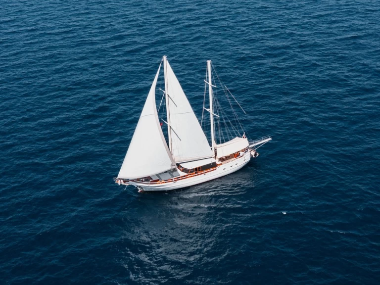 Noleggio Barca a vela Custom Made con patente nautica