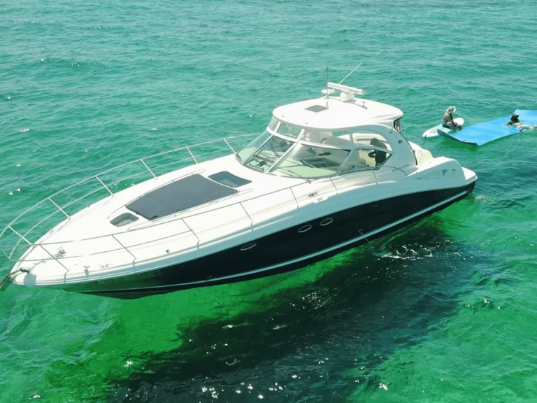 Sea Ray 42 da affittare a  Miami Beach
