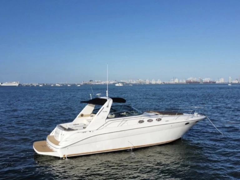 Noleggiare una Sea Ray Sea Ray 400 Sundancer a Key Biscayne