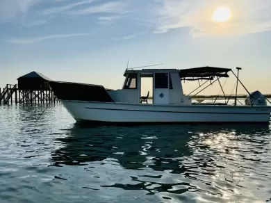 Barca a motore a noleggio a Francia al miglior prezzo