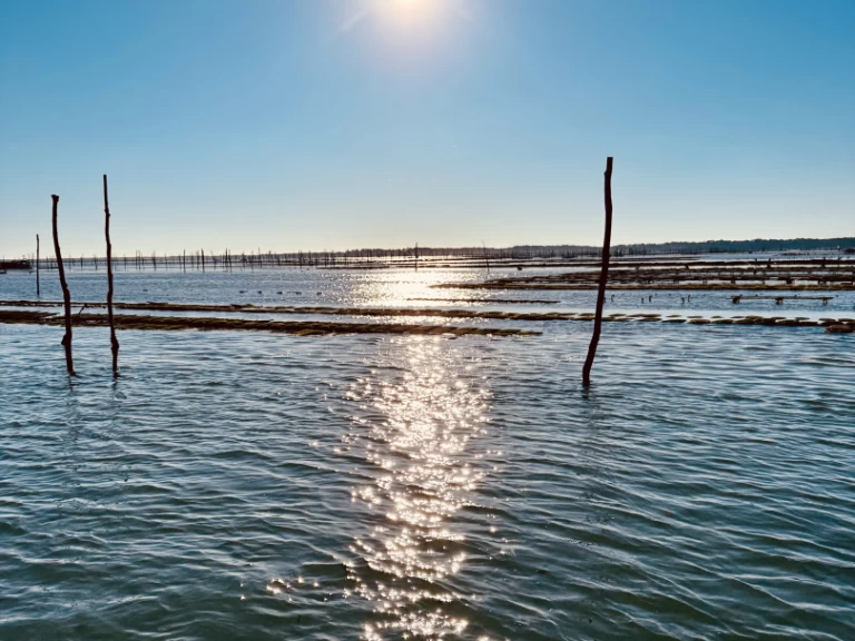 Noleggio a Francia – Beacher Beacher 840 su SamBoat