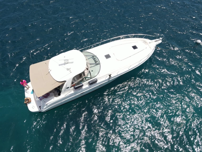 Noleggio barche Tortola economico Sea Ray 525 Sundancer