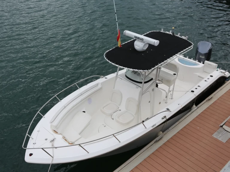 Noleggio Barca a motore SEAFOX con patente nautica