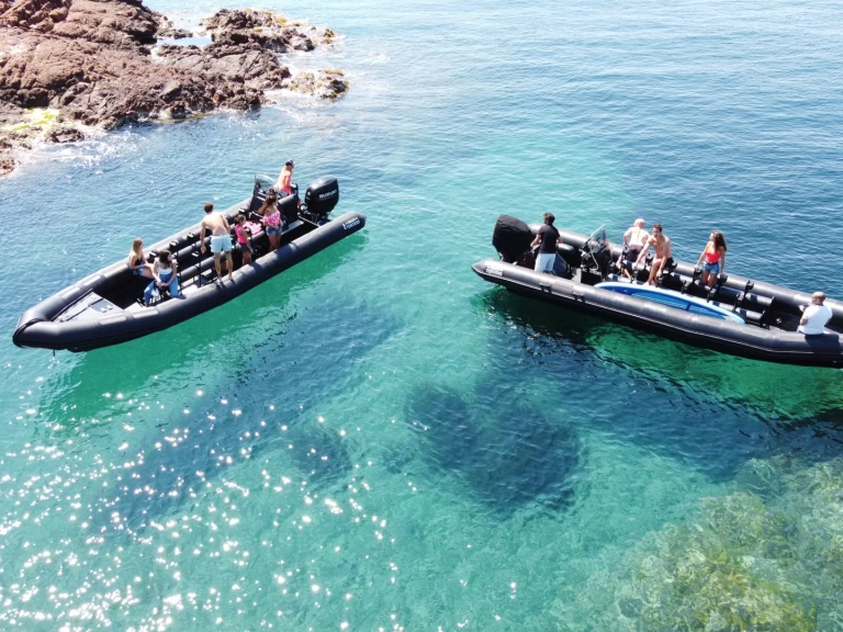 Noleggio barche Cannes economico Fast 900