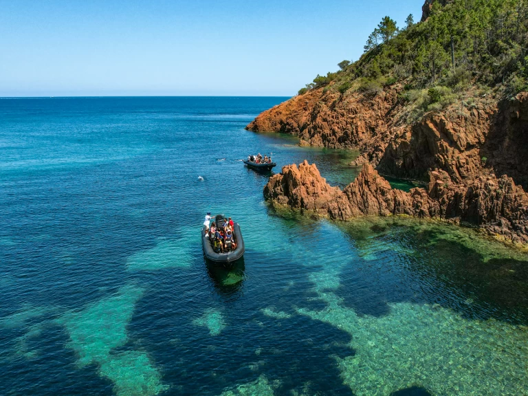 Noleggio barche Narwhal Fast 900 a Cannes su Samboat