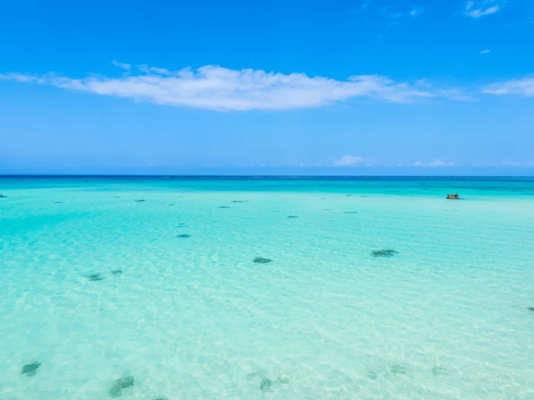 Noleggio Catamarano con o senza skipper Custom Made a Kendwa