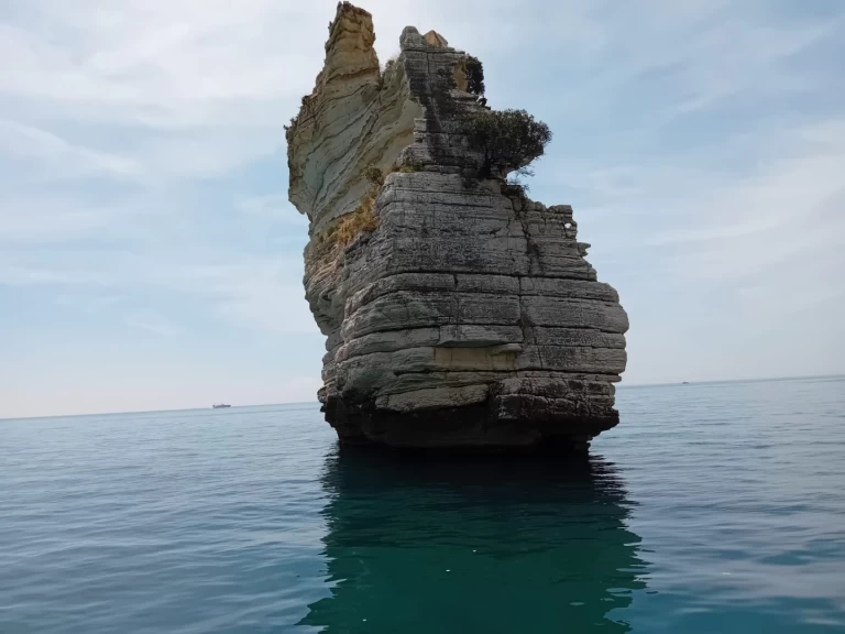 Idea Marine IDEA 58 da affittare a  Vieste