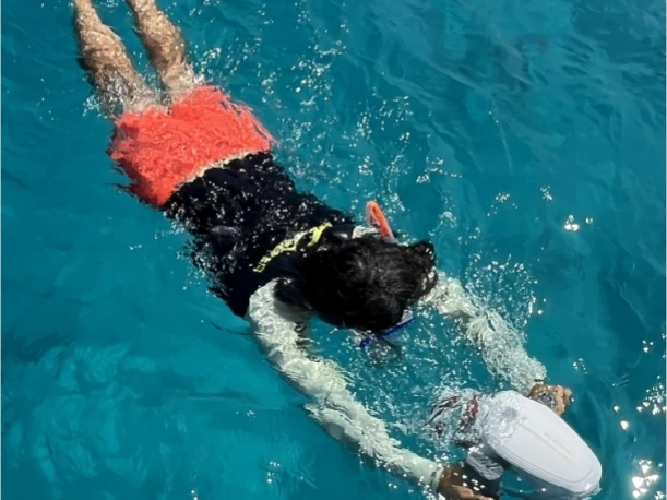 Noleggio barche Fountaine Pajot Astrea 42 a Hyères su Samboat