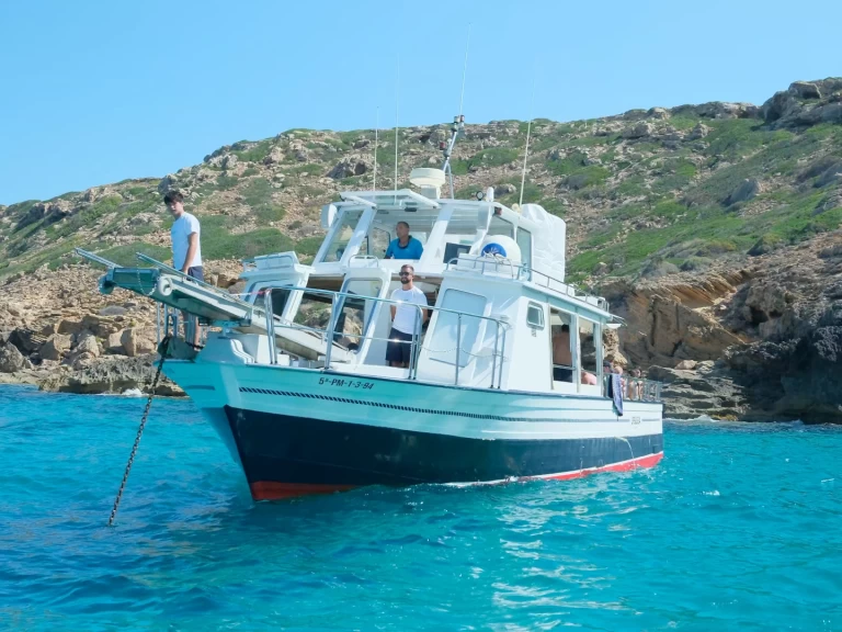 Noleggiare una palma 1 a s'Arenal