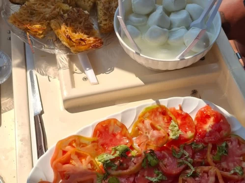 Noleggio Barca a motore a Sorrento – Tirrenia Viveur 28