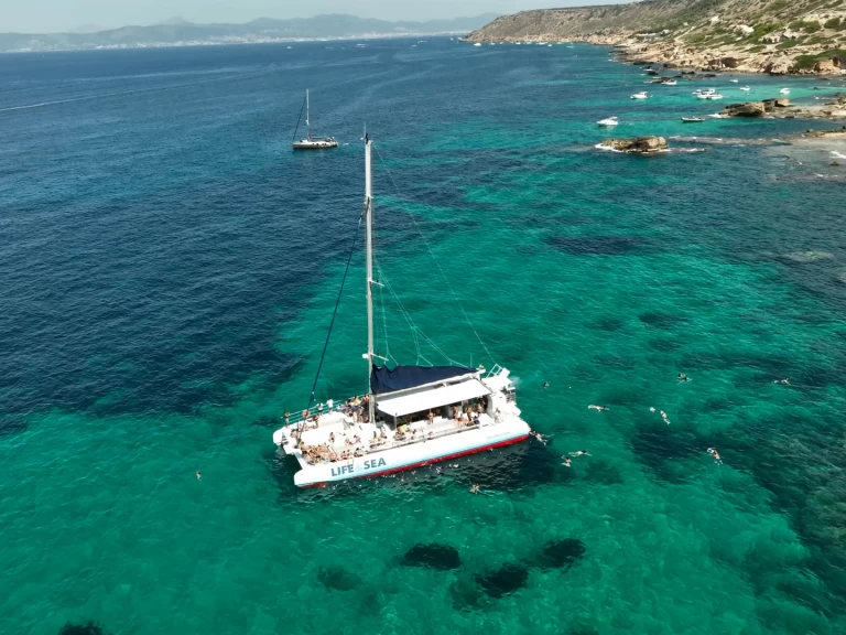 Noleggiare una Drassanes Dalmau one of a kind a Playa de Palma