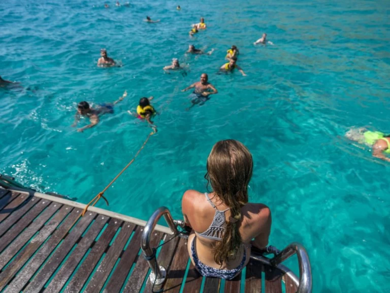 Noleggiare una palma 1 a s'Arenal