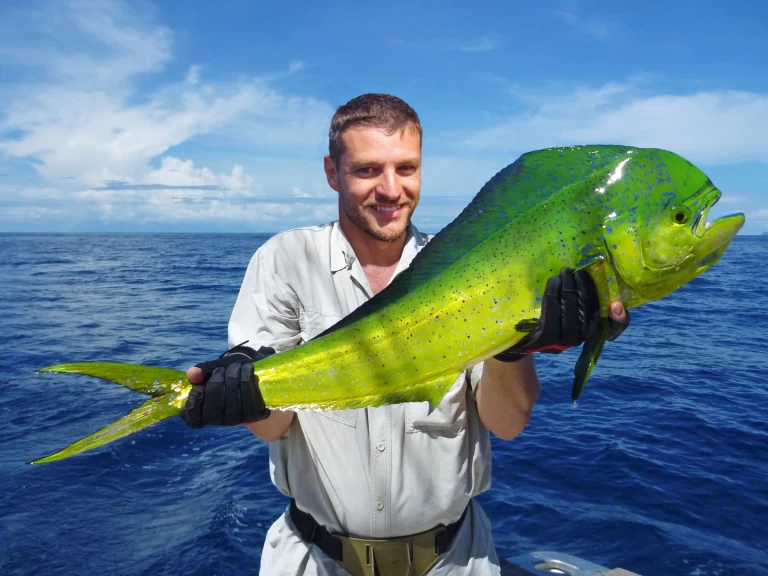 Noleggio Yacht di lusso a Punta Cana – Custom Made Custom made