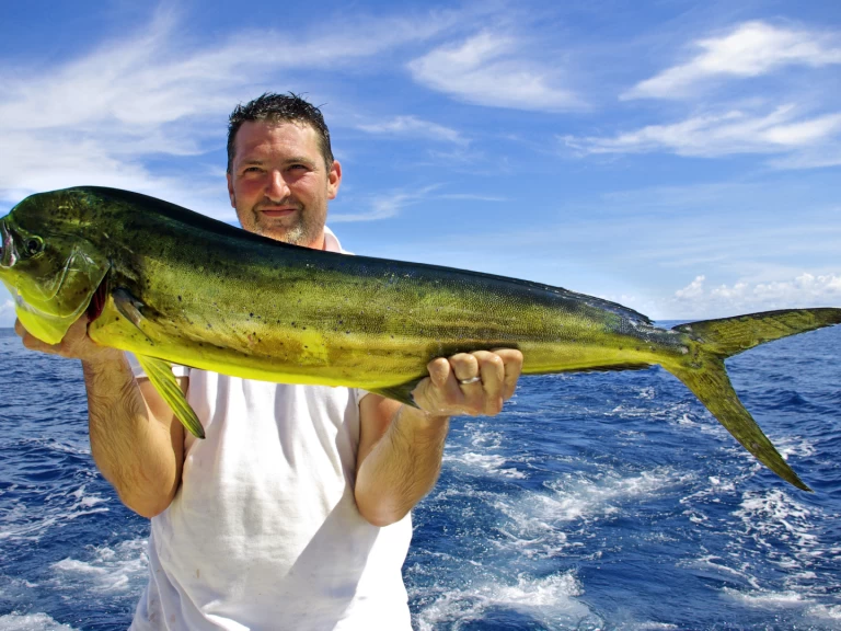 Noleggio Yacht di lusso con o senza skipper Custom Made a Punta Cana