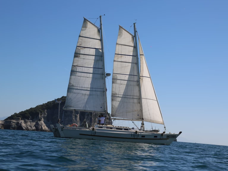 Noleggio Catamarano con o senza skipper Wharram a La Spezia