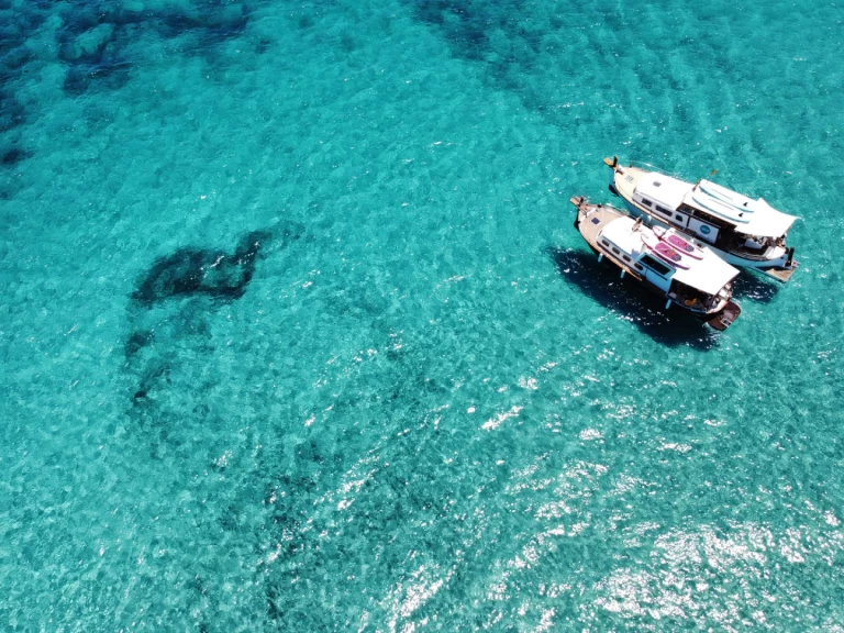 Noleggio Barca a motore Capeador con patente nautica