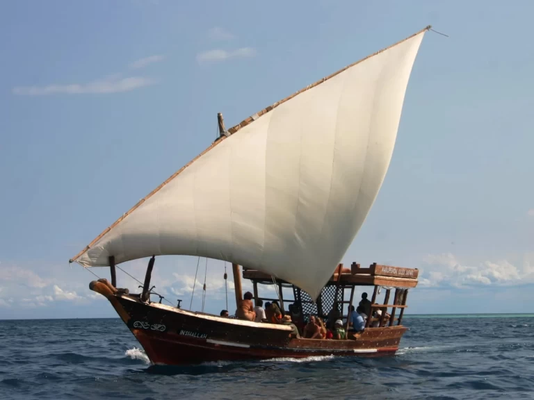 Custom 2018 da affittare a  Zanzibar