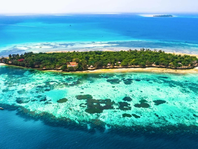 Noleggio barche Zanzibar economico Custom