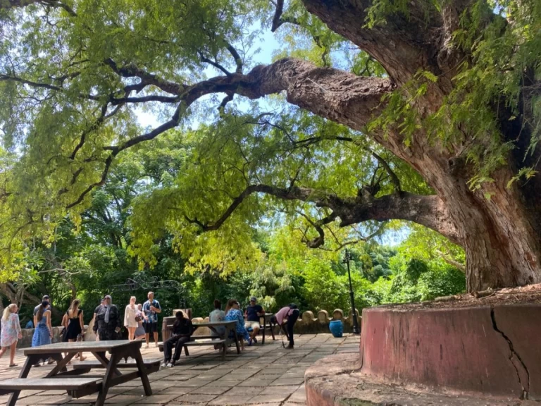 Noleggio barche Custom Custom a Zanzibar su Samboat